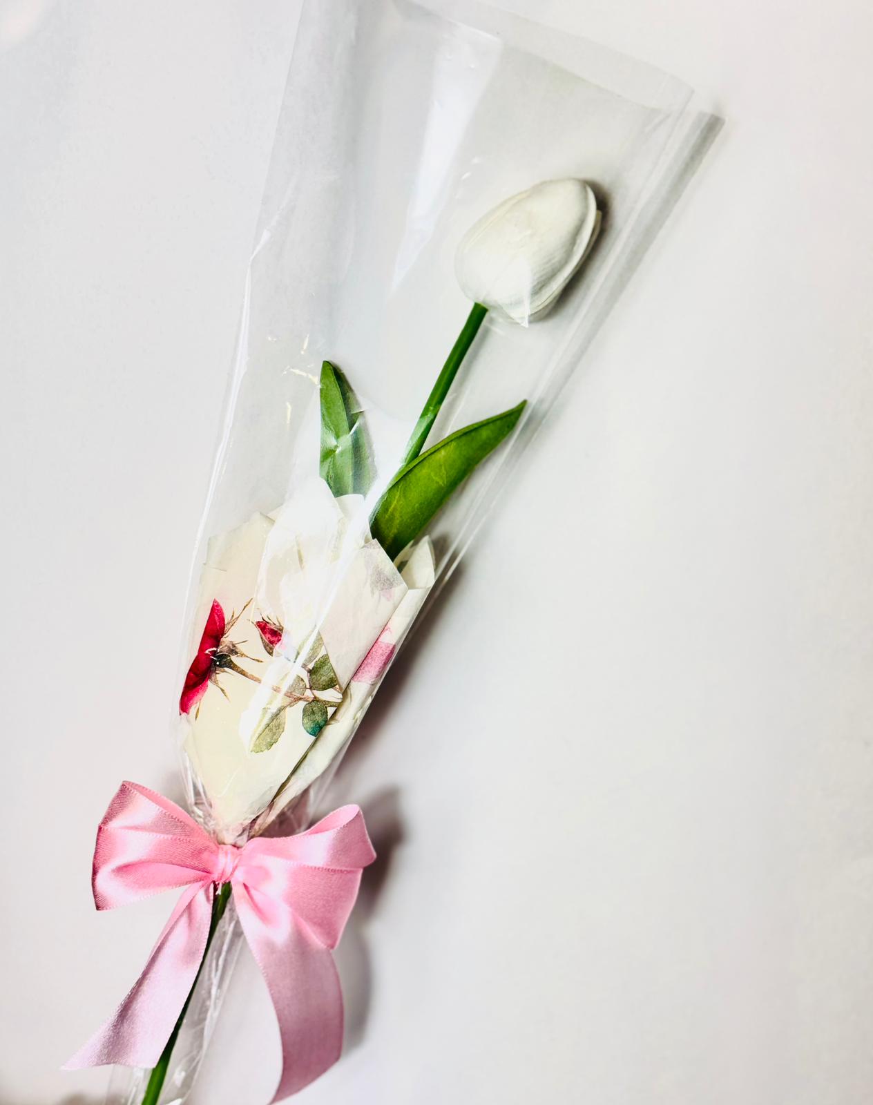 WhatsApp Image 2026-02-02 at 23.16.42 (1)